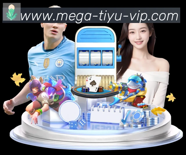 App功能展示图